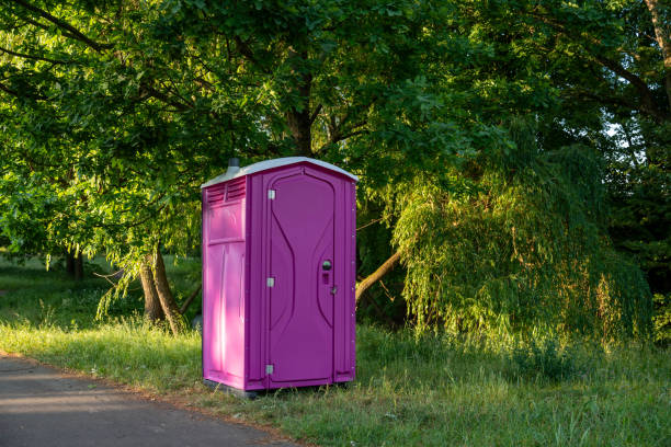 Best Affordable porta potty rental  in Diamond, IL